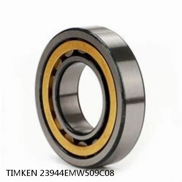 23944EMW509C08 TIMKEN Cylindrical Roller Radial Bearings