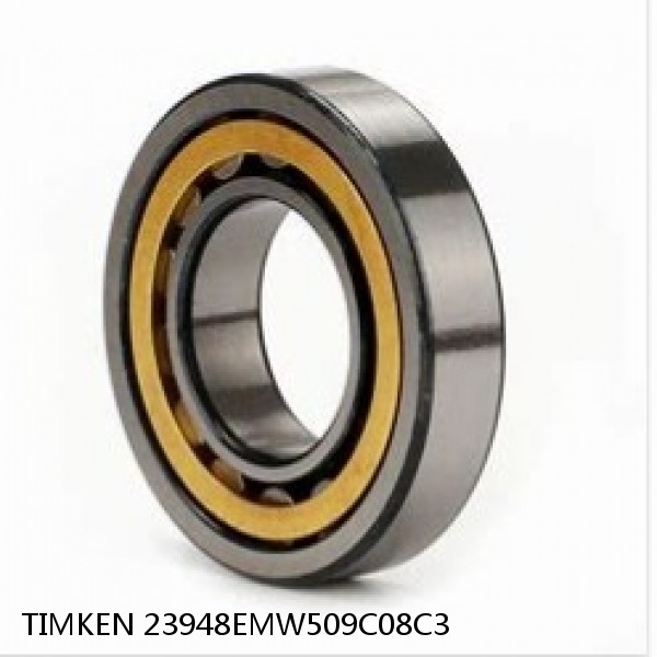 23948EMW509C08C3 TIMKEN Cylindrical Roller Radial Bearings